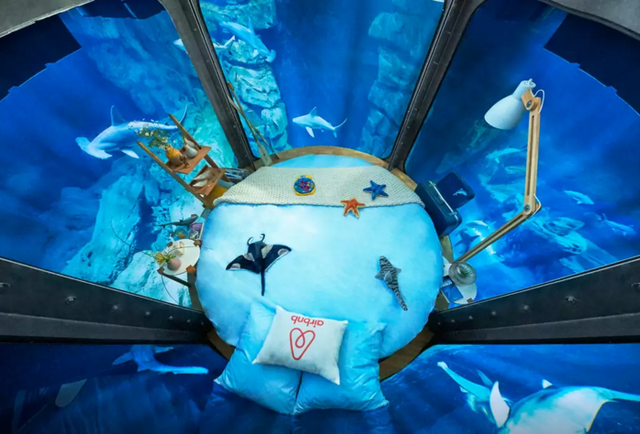 Airbnb dará uma noite dentro de um aquário cercado de tubarões para 3 pessoas