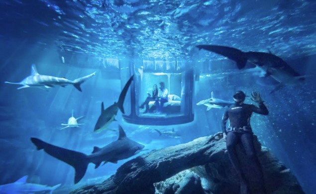 Airbnb dará uma noite dentro de um aquário cercado de tubarões para 3 pessoas