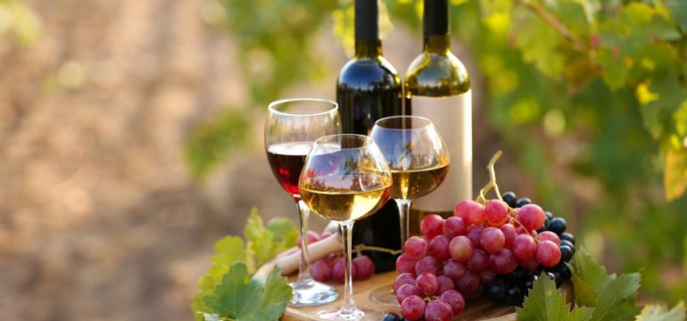 11 mentiras sobre o vinho que você ainda acha que é verdade