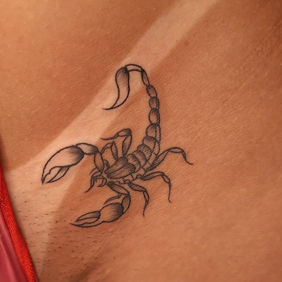 Tatuagem Íntima Feminina